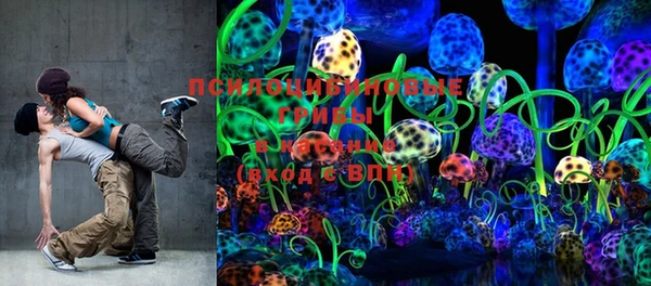 молекула духа Балахна