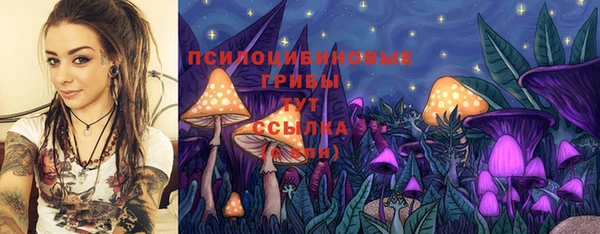 молекула духа Балахна