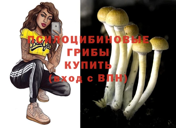 молекула духа Балахна