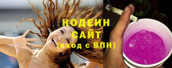 молекула духа Балахна